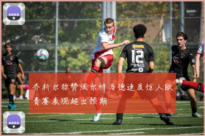 乔科尔称赞沃尔特马德速度惊人欧青赛表现超出预期