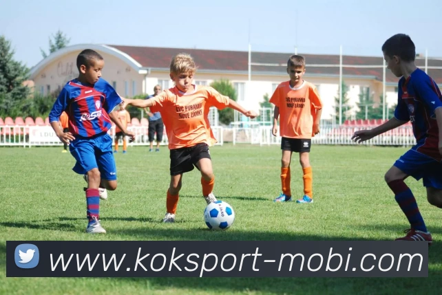 KOK体育品牌故事