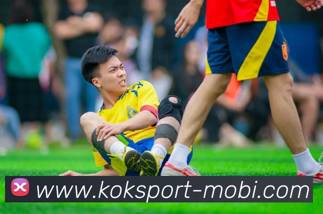 KOK体育服务体系