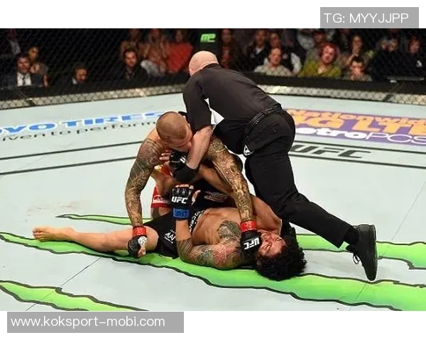 托尼与亚昆塔看好加图索带领意大利晋级世界杯小基耶萨助力显著 托尼与亚昆塔看好加图索带领意大利晋级世界杯小基耶萨助力显著